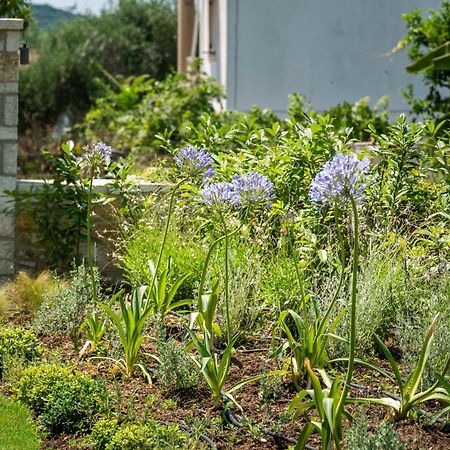 Syvota Gardens Apartment Екстериор снимка